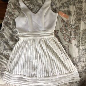 Gianni Bini dress, brand new!